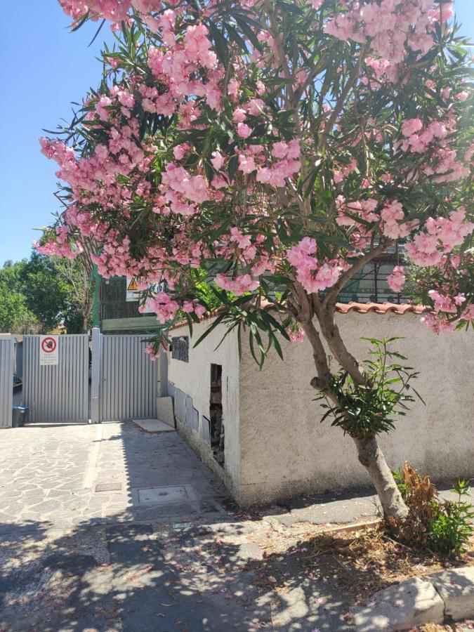 Casa Vacanze Fiumicino Exterior photo